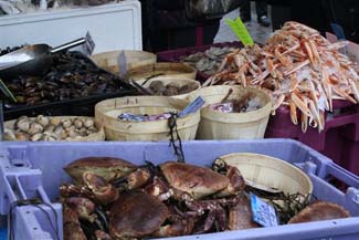 Gannet Fishmongers Galway